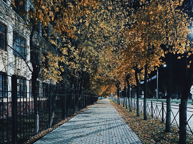 Fall cityscape