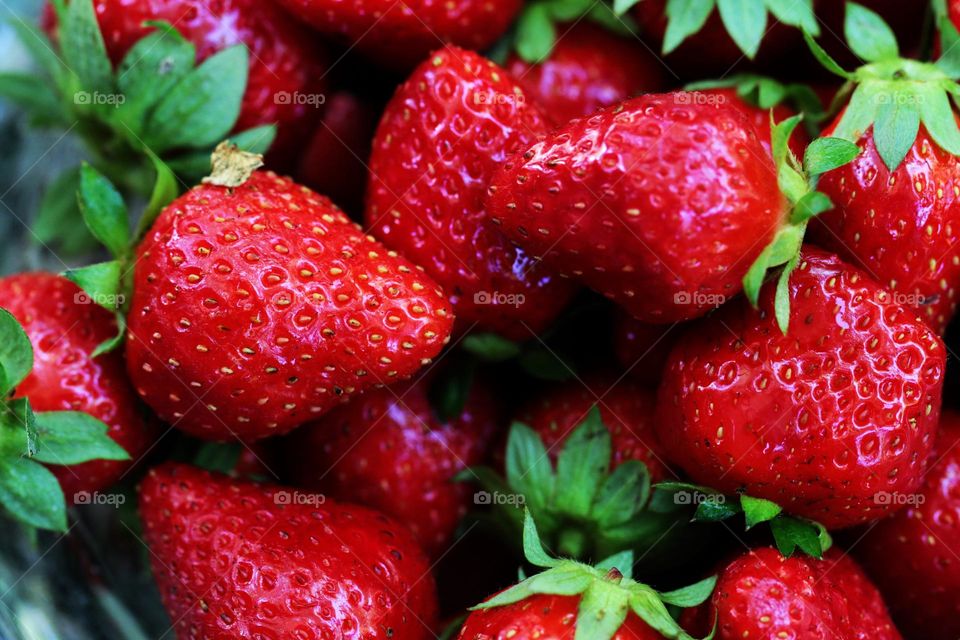 Erdbeeren