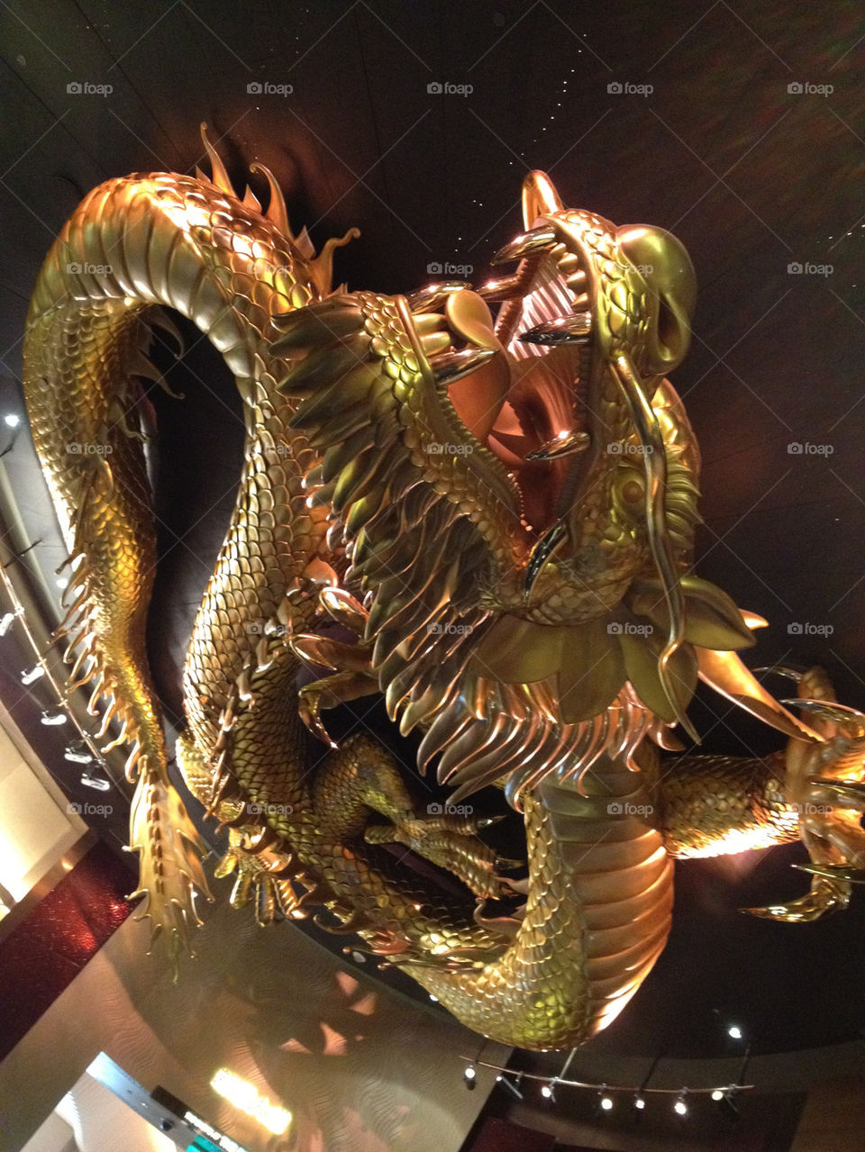 animal gold dragon macau by pamrampampam