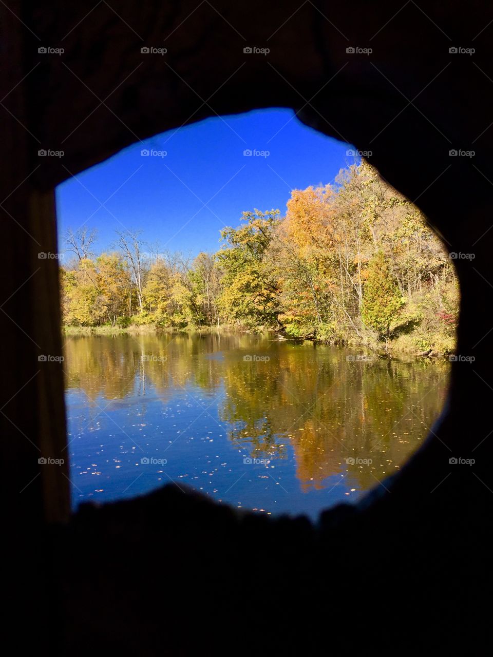 Fall Knot. Fall Knot