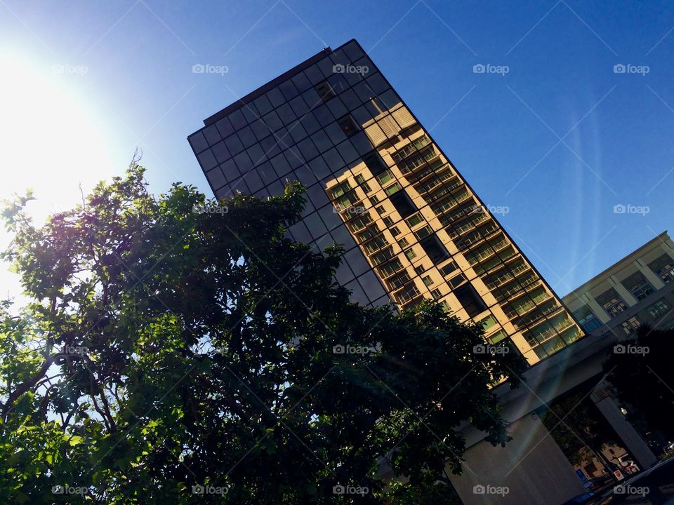 Building reflections 