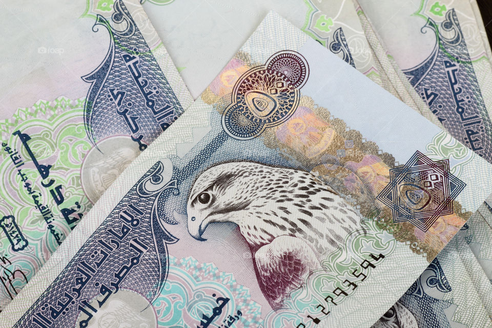 UAE United Arab Emirates dirham currency