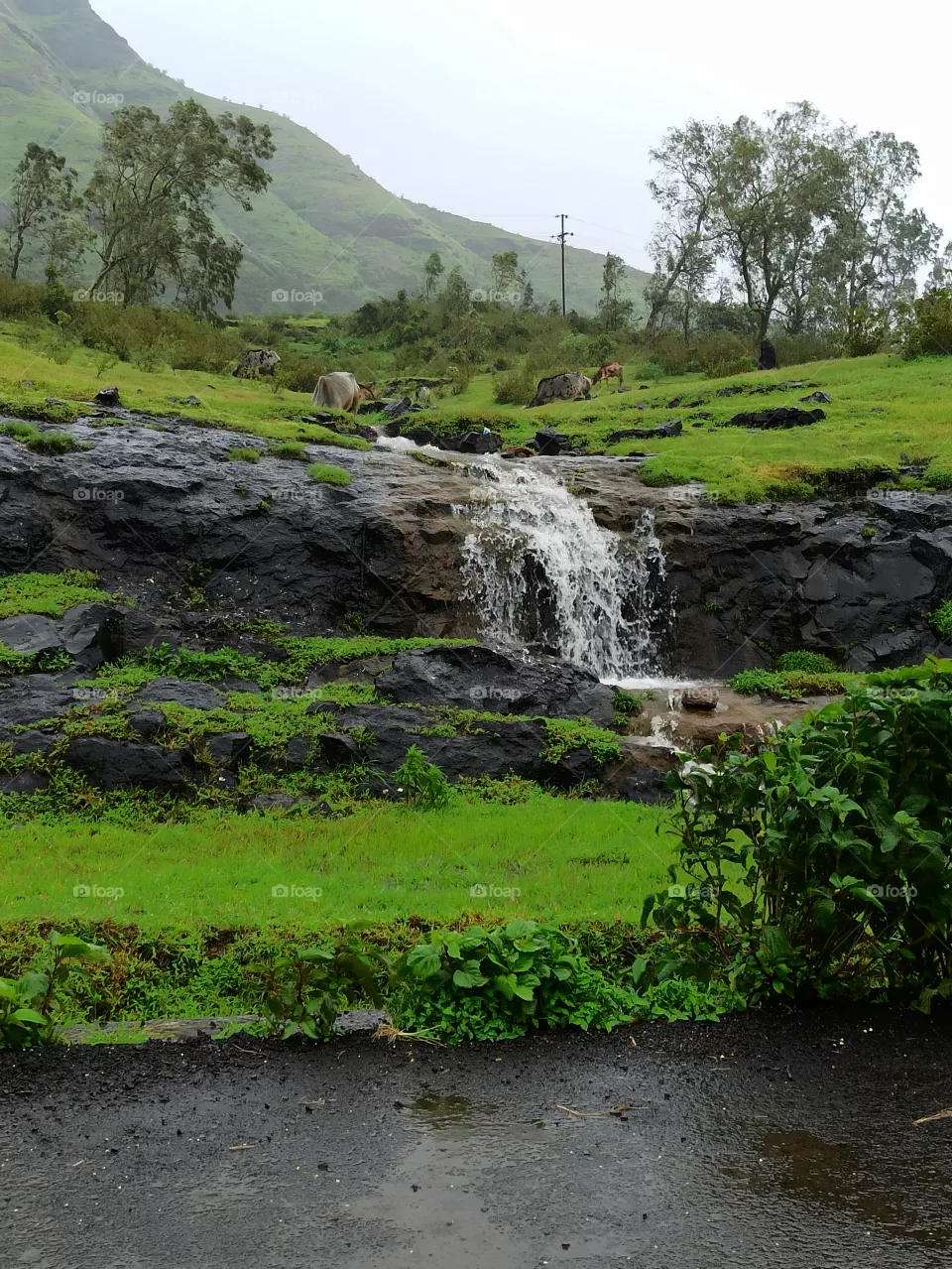 Waterfall