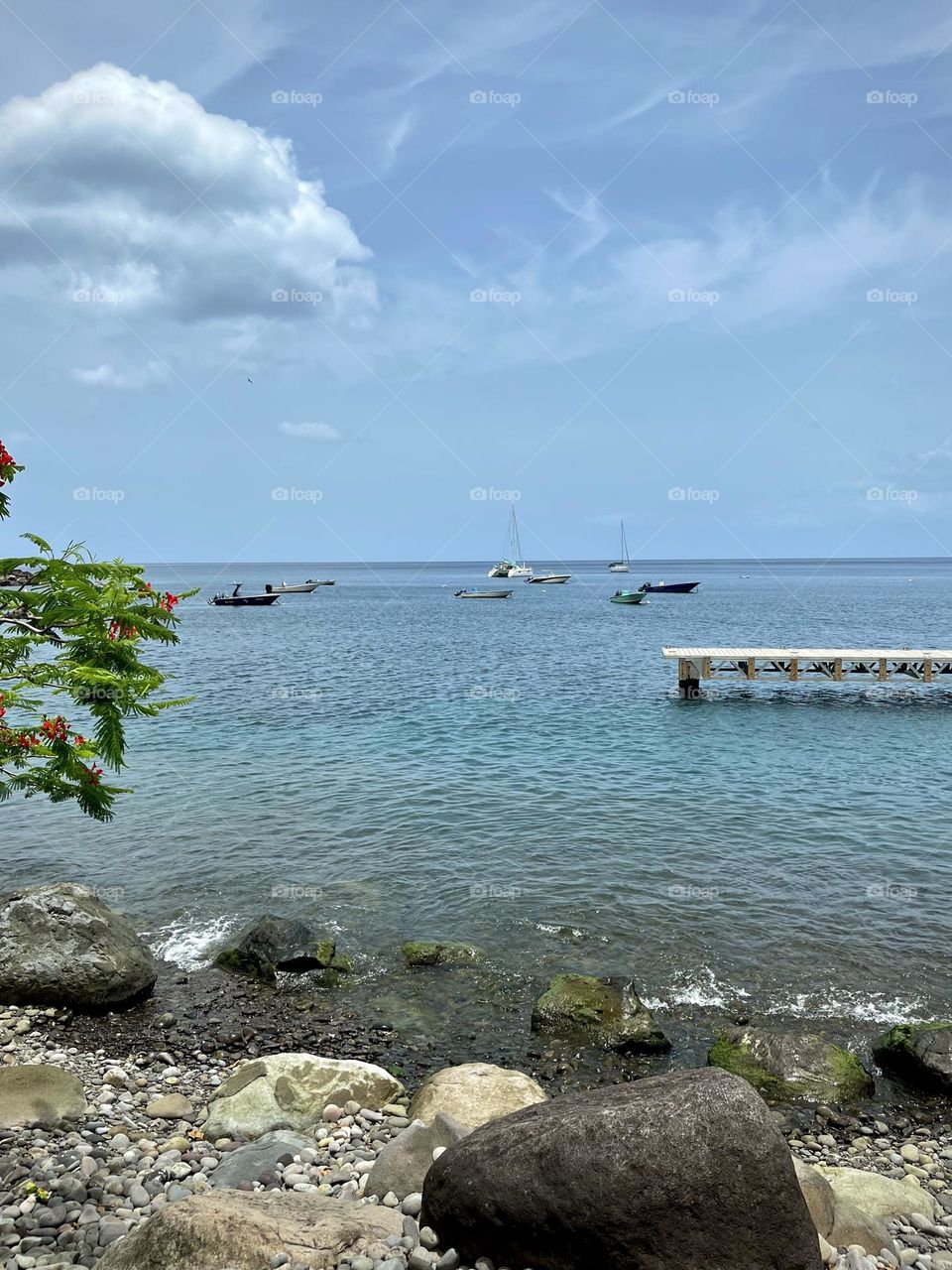 Landscape of a Caribbean seaside.