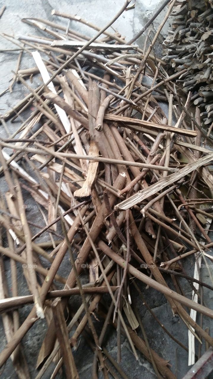 wood stick