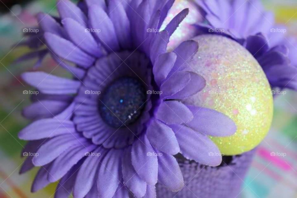 Egg In Flowers