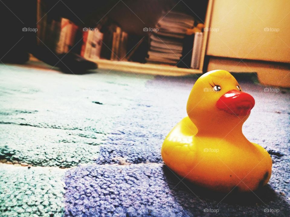 rubber ducky