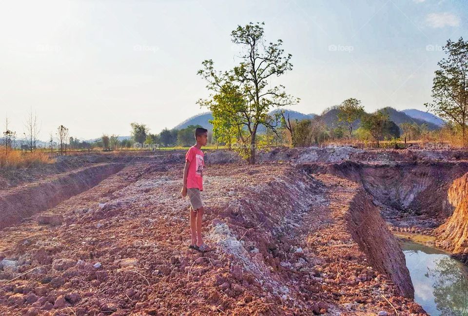 boy,looking,tree,sky