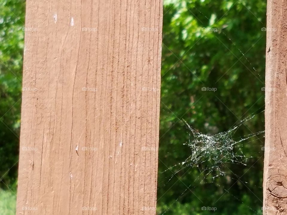 Spiderweb Bridges Fence