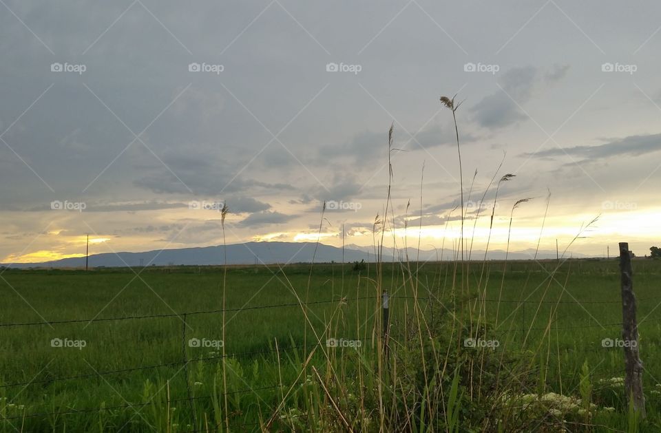 Landscape, Field, Sky, Grass, Nature