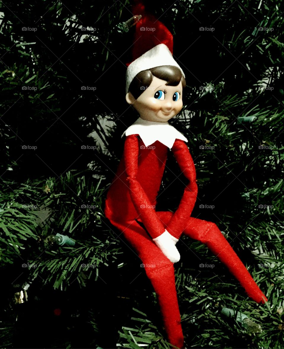 Elf on the shelf 