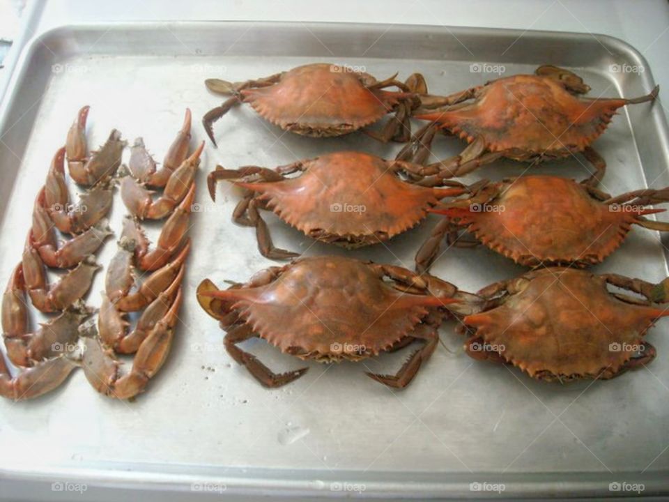 crab