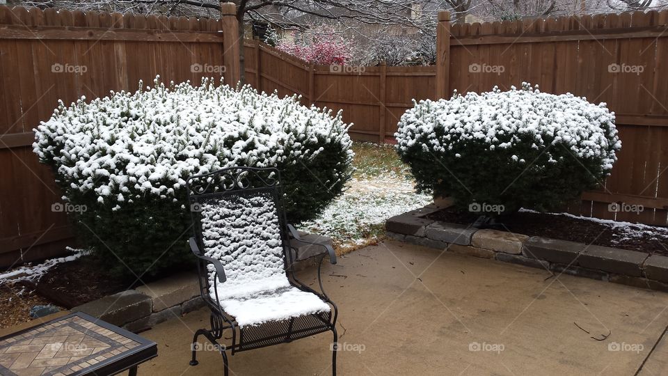 snow patio,  bushes and red flowers background