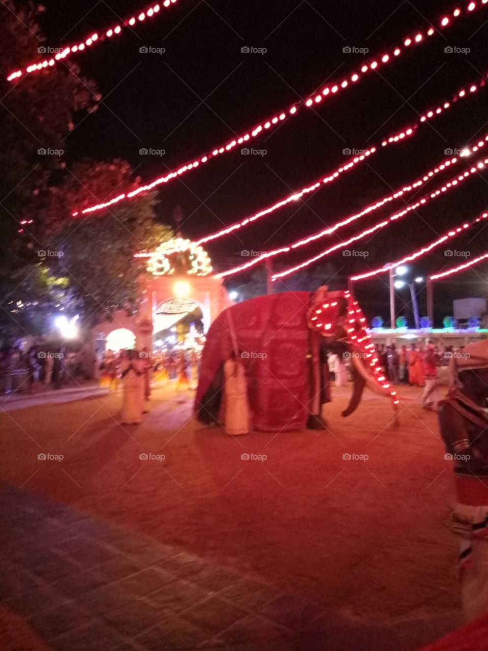 elephant dance