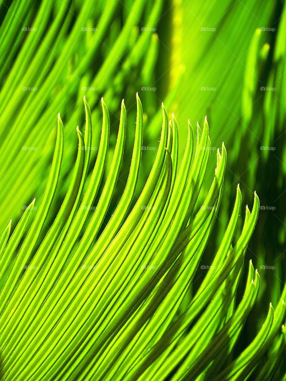 Things are better appreciated up close