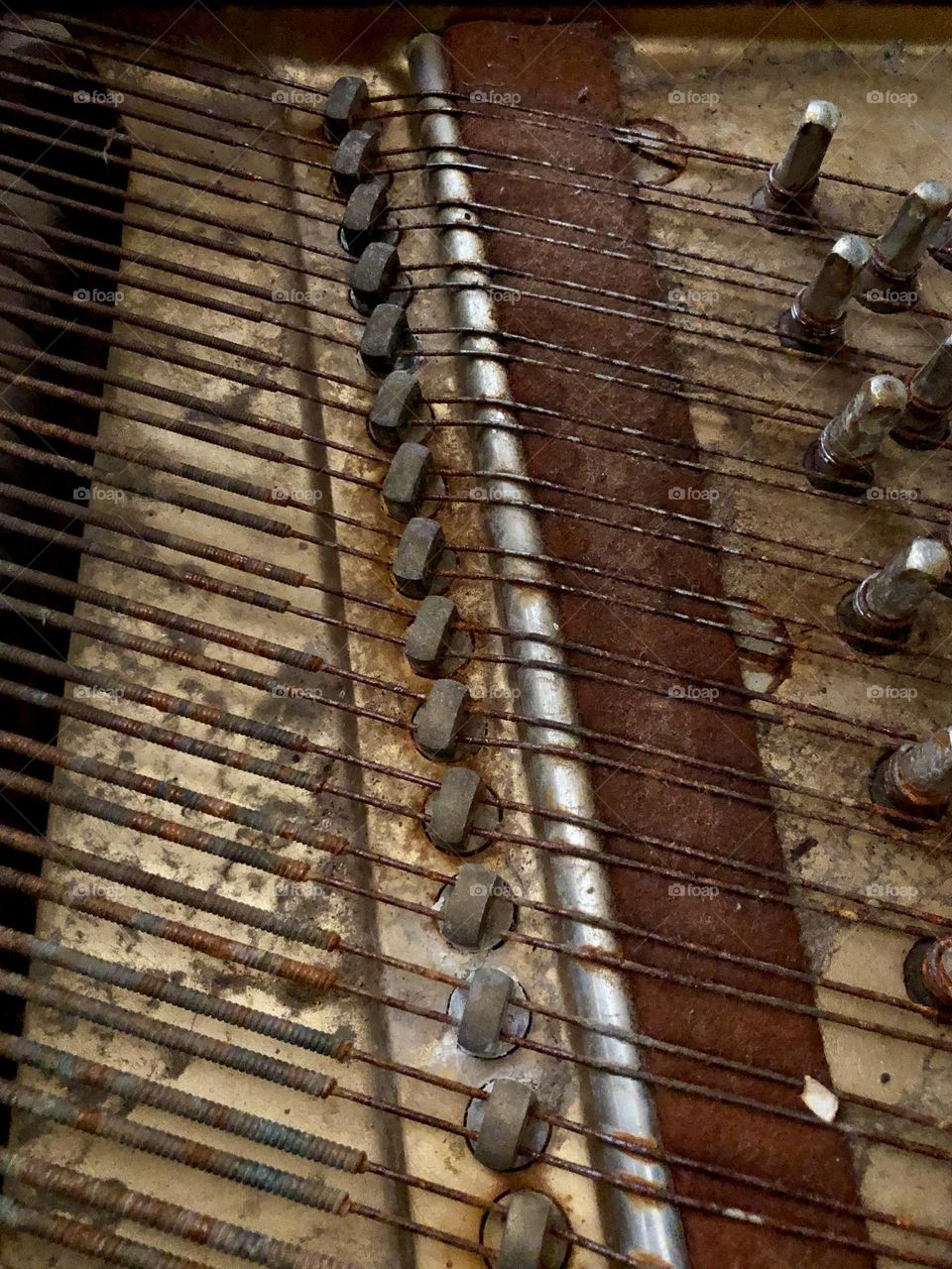 Closeup of interior workings of grand piano. Piano strings are rusting and dirty.