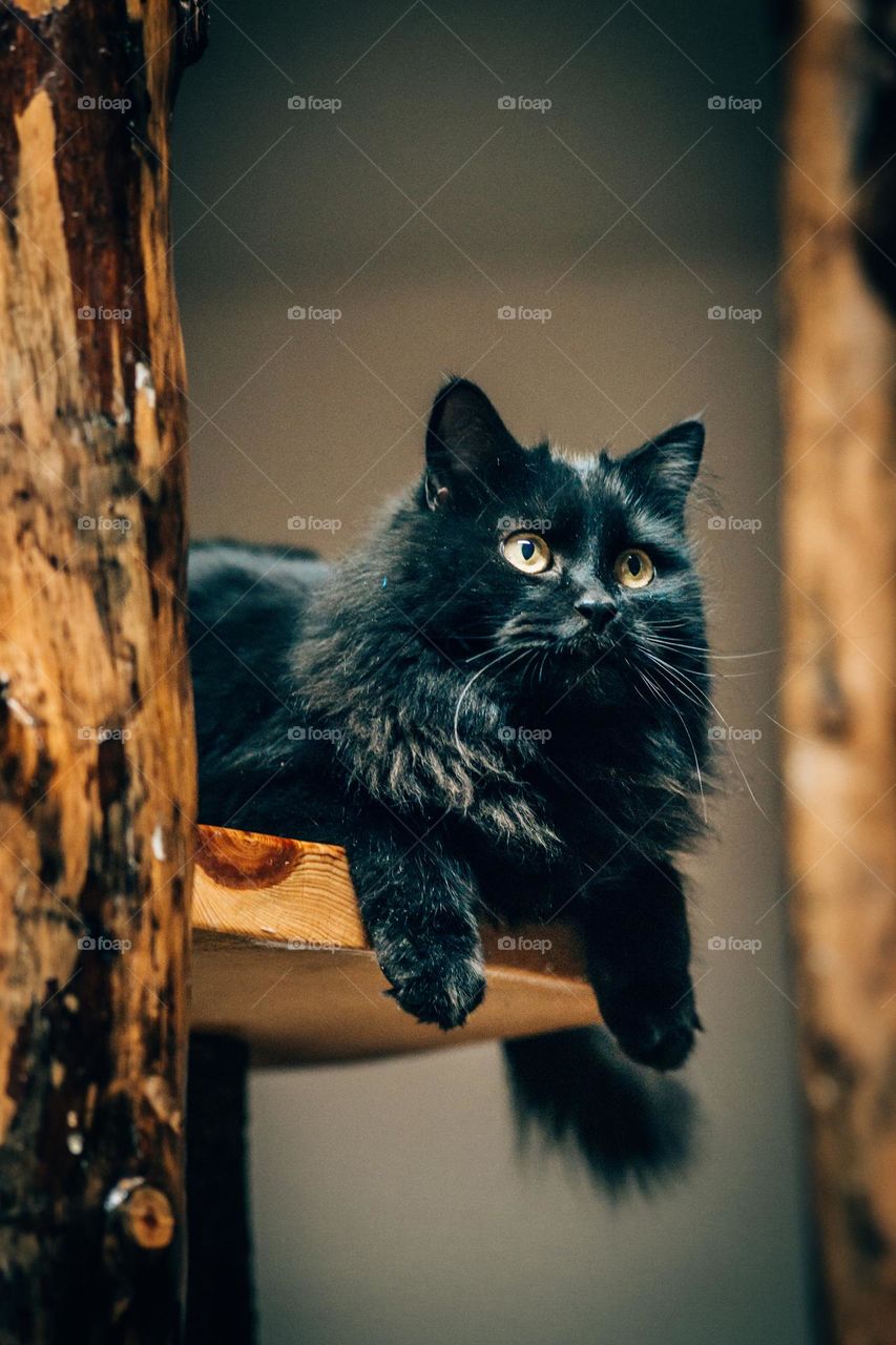 Octavia’s signature pose.