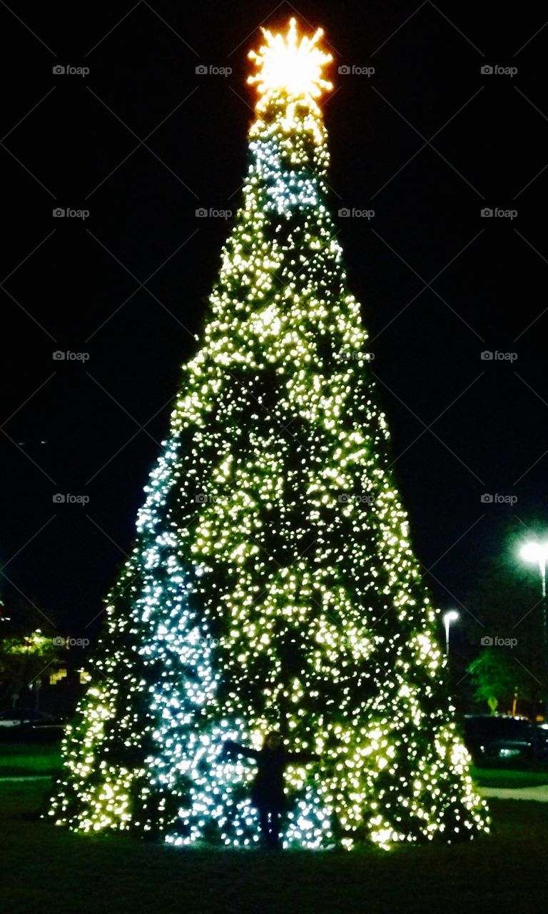 Girl in the Christmas tree