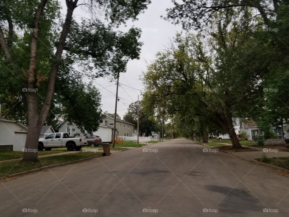 Road, Tree, Landscape, Environment, Guidance