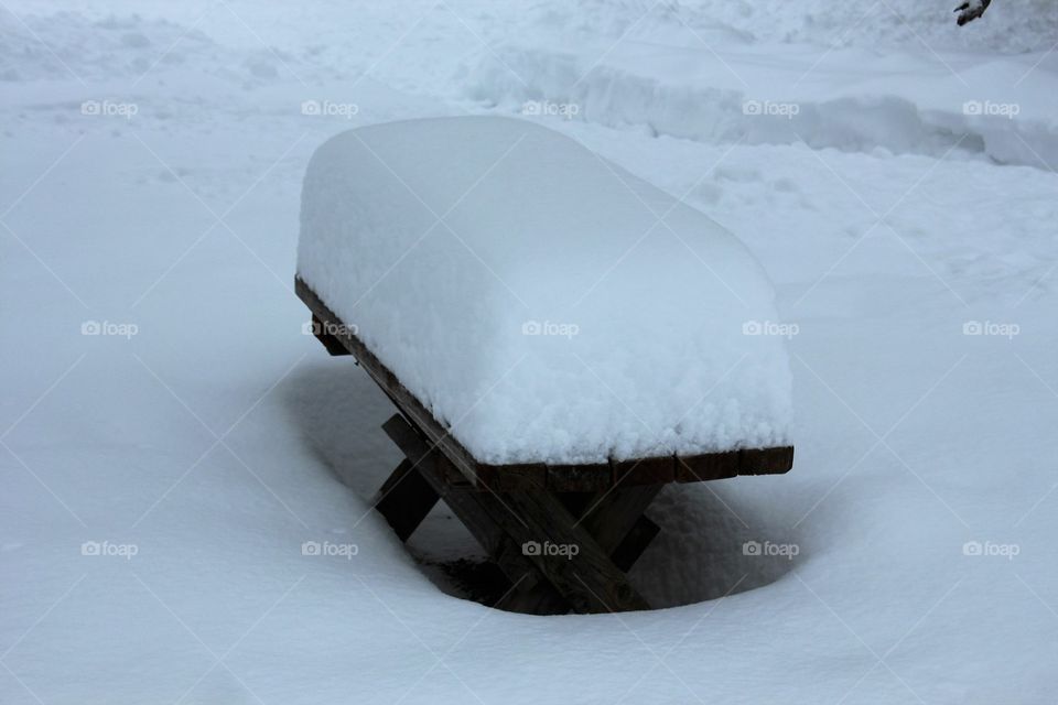 Bench thick with snow