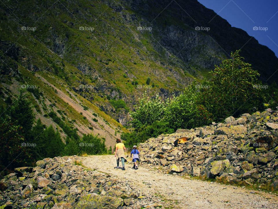 Path. Mountain path in the Alps 