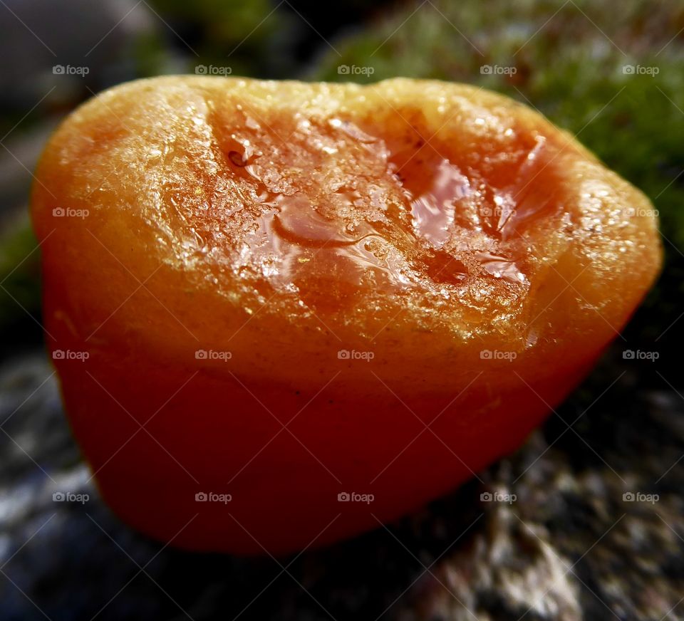 Amber blank - Baltic Sea 