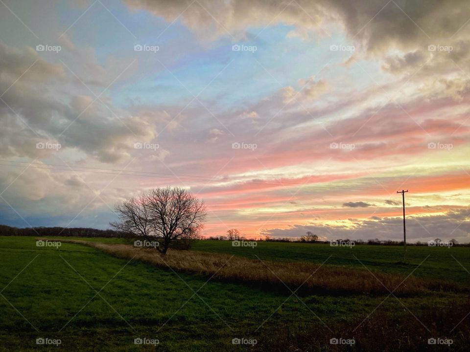 Sun setting in Michigan over green farmland creating bright pink, purple, and orange color clouds in the blue sky. A small tree without leaves is silhouetted against the colorful sky