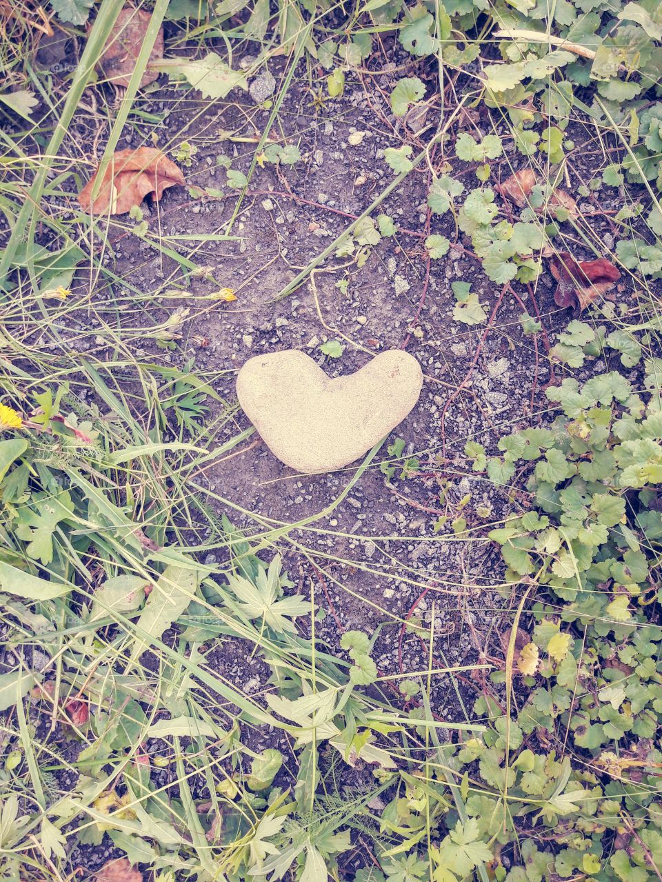 Stone in the shape of a heart in the garden