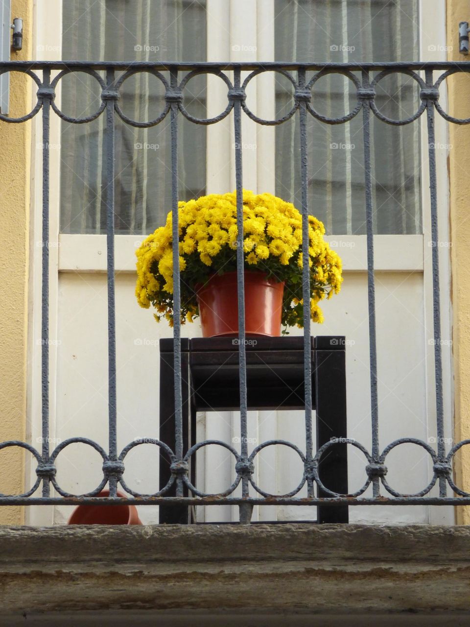 Flowers on a balcony