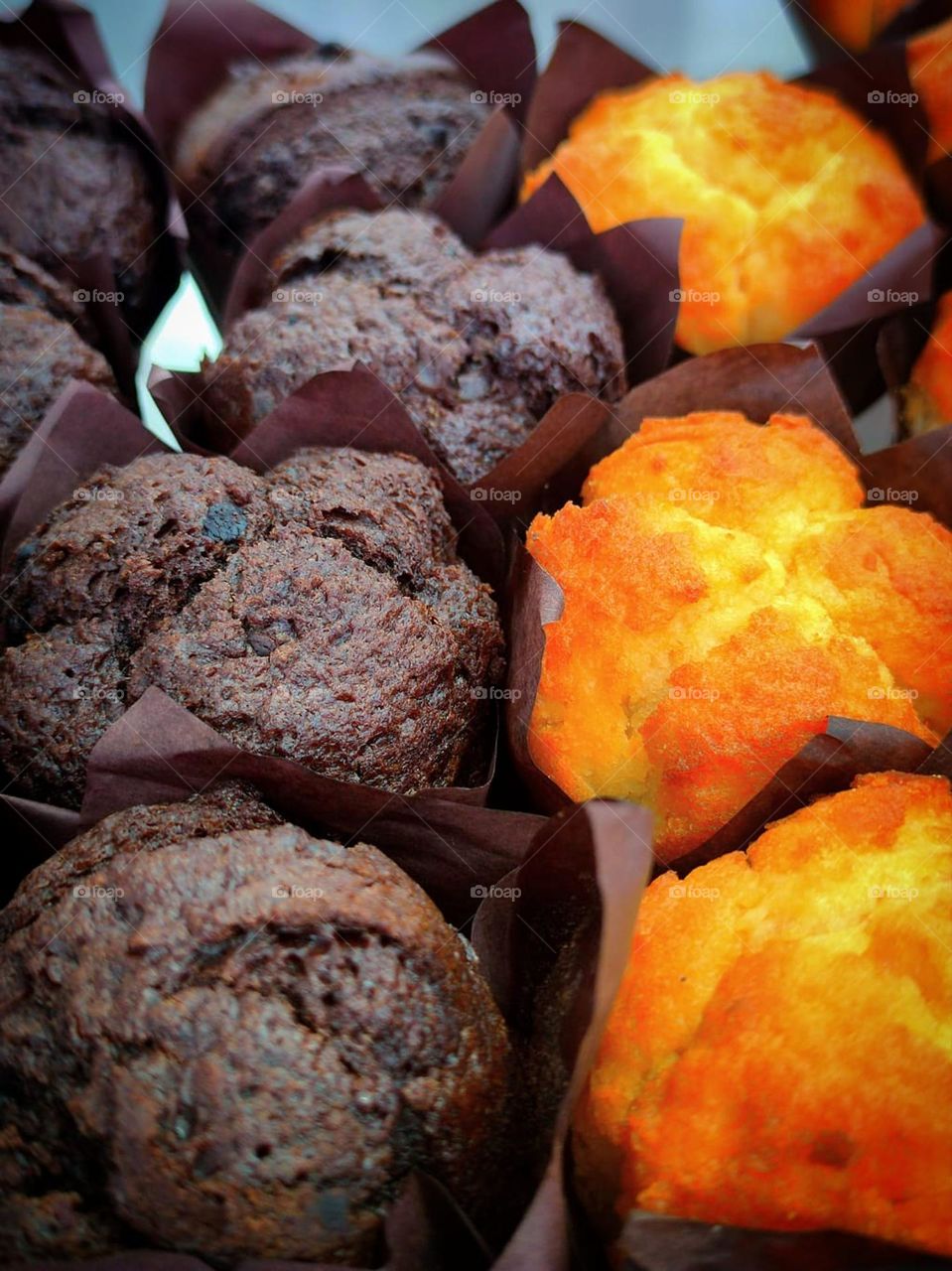 Food.  Dessert.  Chocolate muffins with chocolate chips and muffins with raisins.  Front view