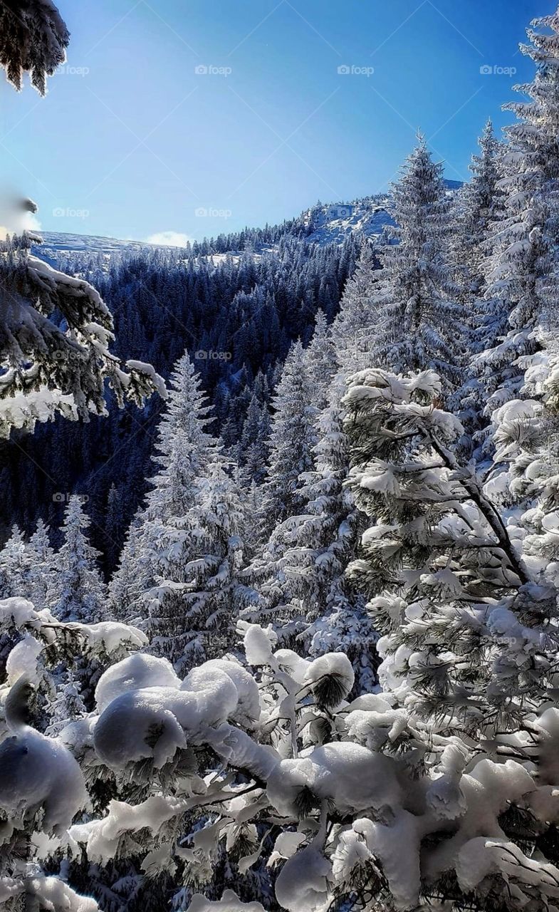 day adorned with snow