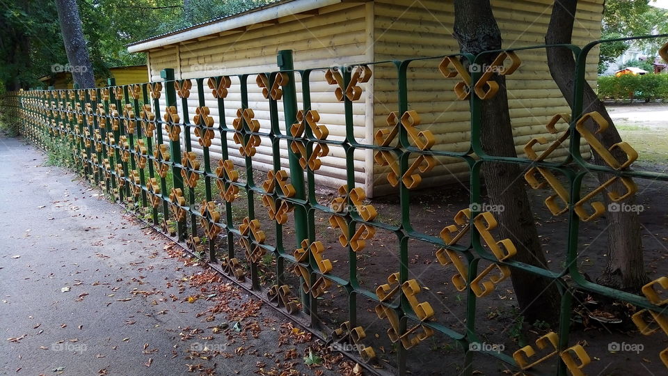 забор.жёлтый.осень.природа.