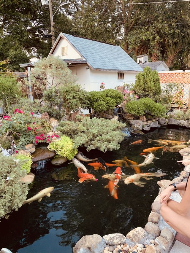 Zyn secret garden 