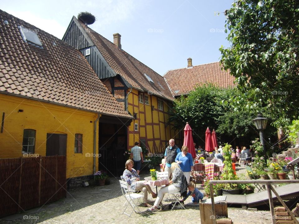 Ribe cafe garden