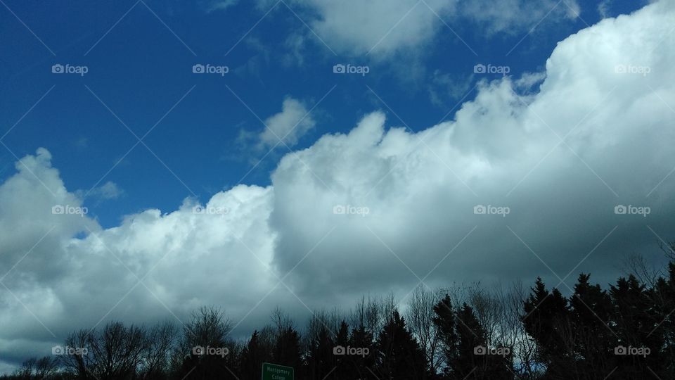 Sky, clouds, trees, blue skies, white clouds, landscape
