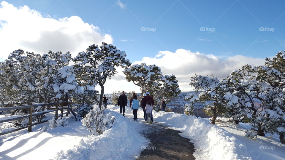 Walk in The Grand Canyon