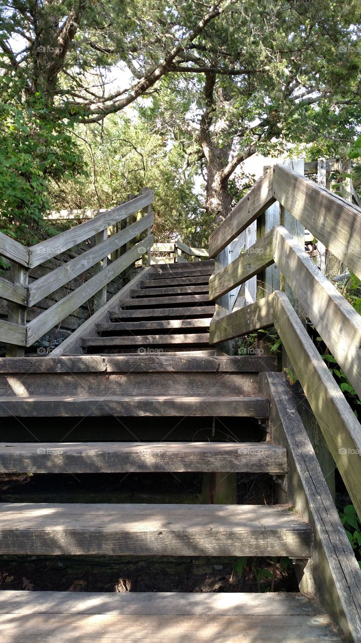 on our way up the stairs taking a walk through the state Park which has the most beautiful views