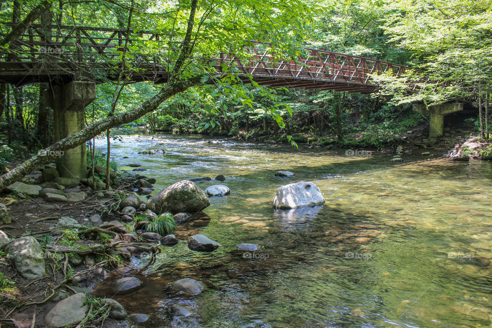 Bridge over a creek