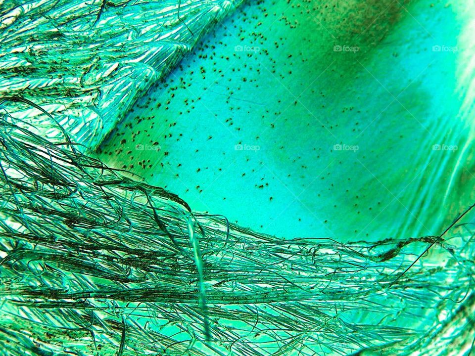 Background and textures