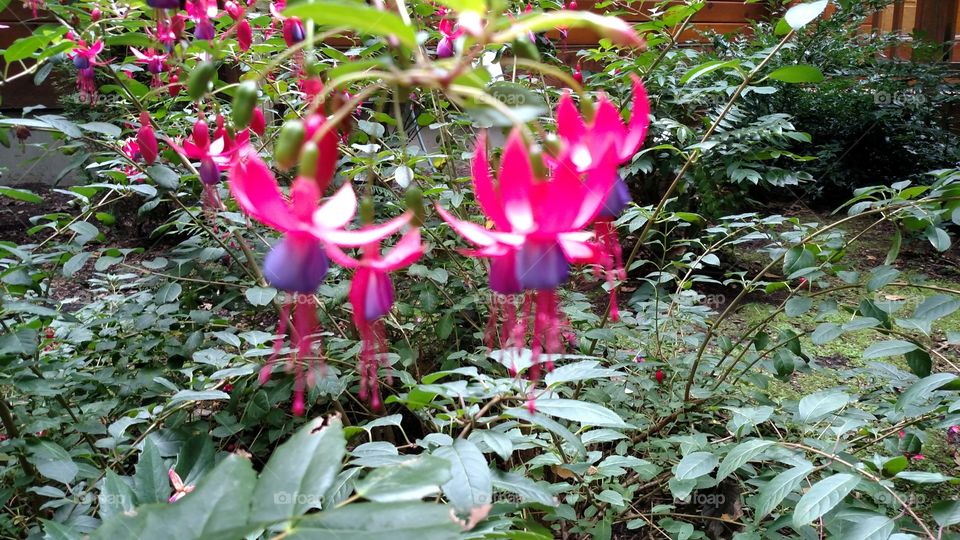 Beauty is everywhere!!