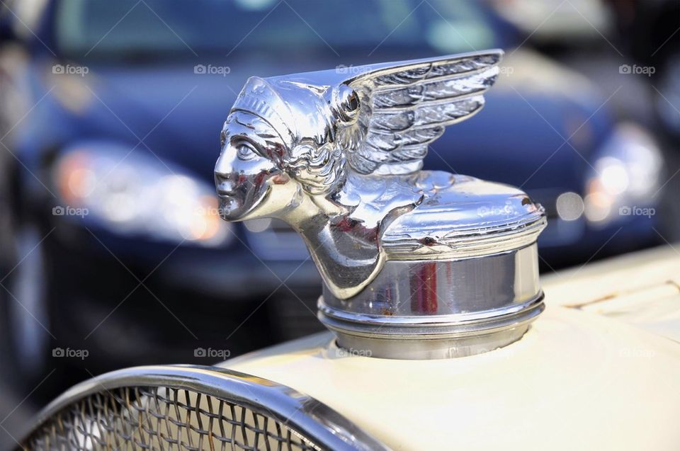 Vintage hood ornament