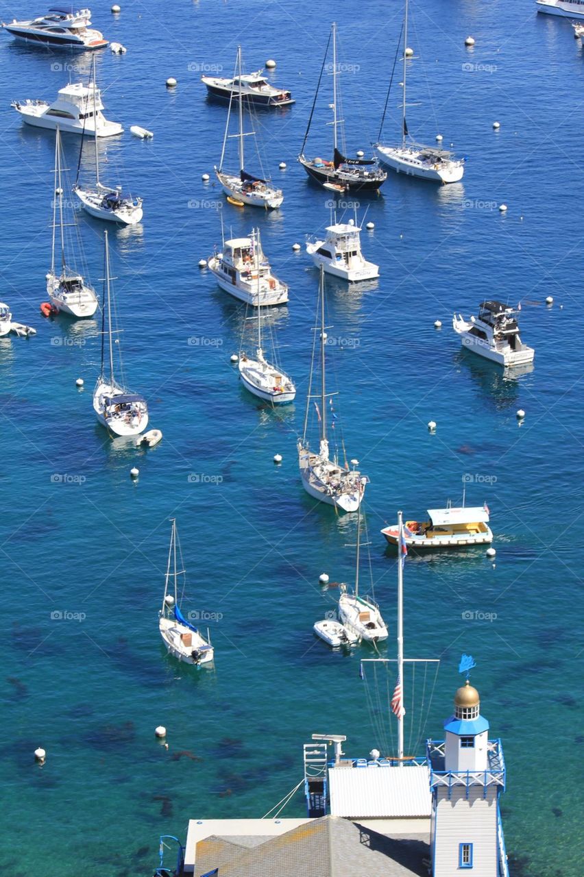 Catalina islands ⚓️🛥