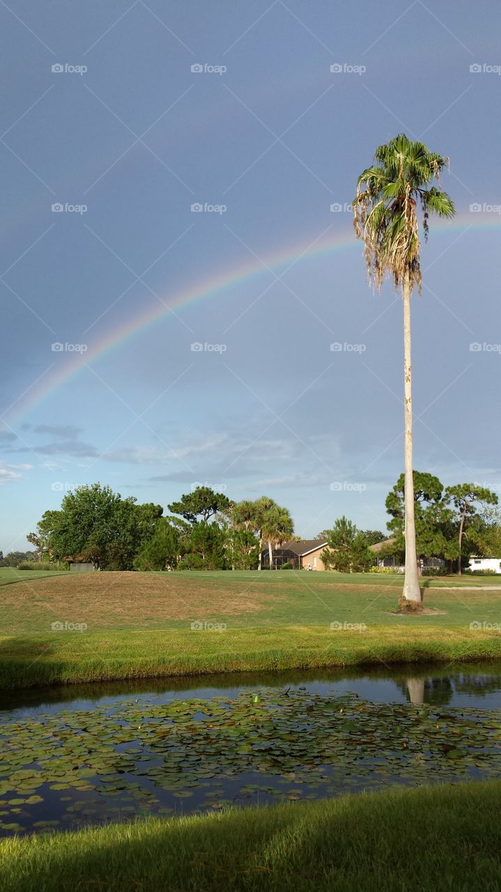 Rainbow over Suntree. spotted first a single then a double rainbow.