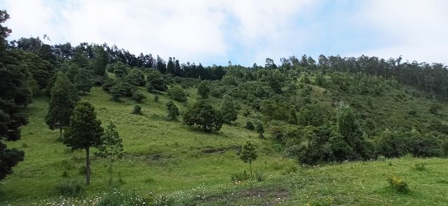 The hills expressing their beauty.
