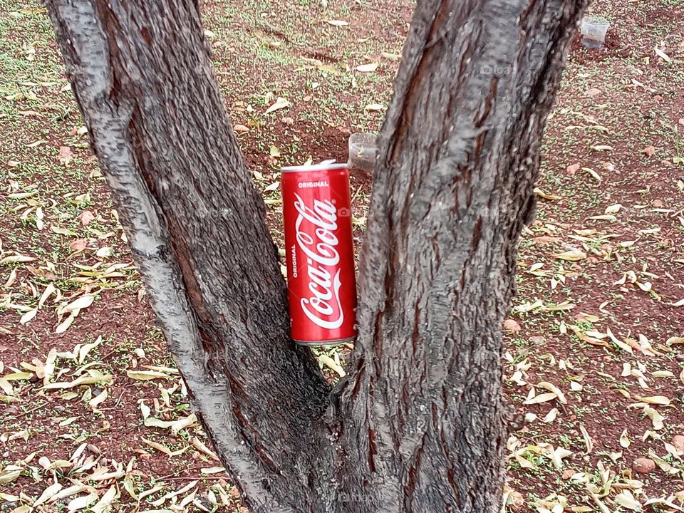 Beautiful portrait of coca cola can