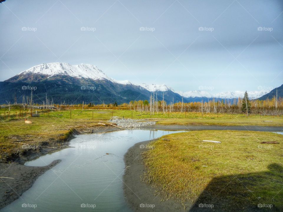 snow capped mountain in background with tundra landscape