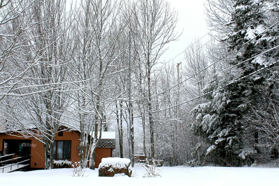 Winter cabin in Canada 