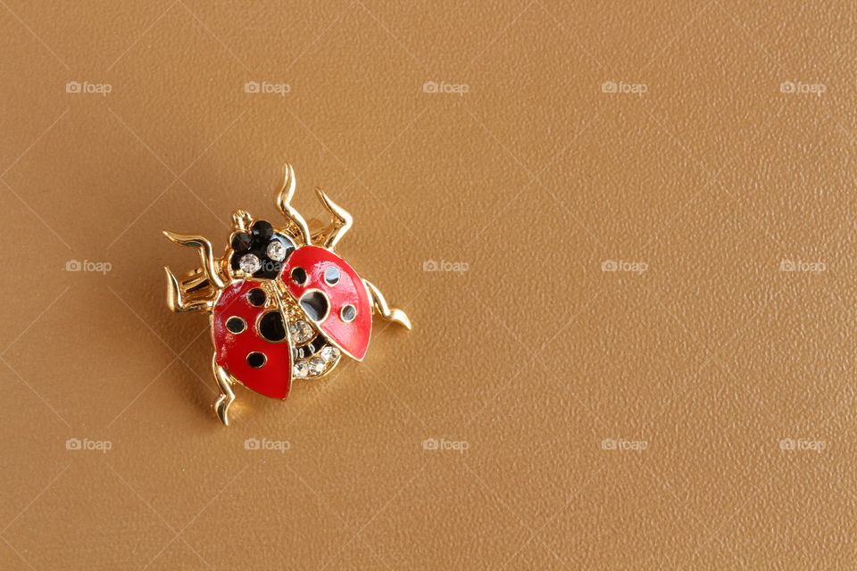Ladybug jewelry 