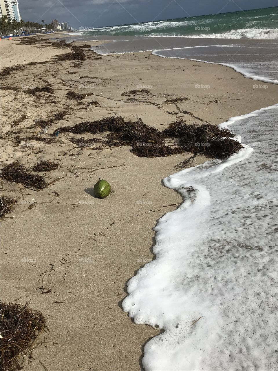 Coconut en la playa 
