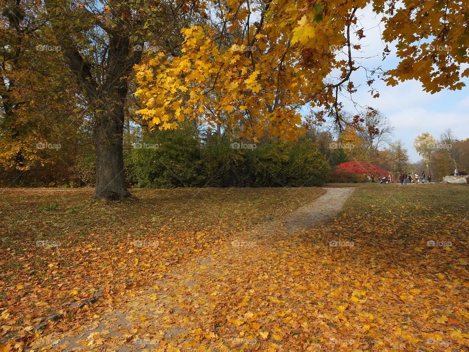 Fall Wins! (Bonus Exclusive Mission)